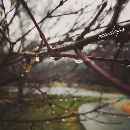 blue eyes and bow ties (3)